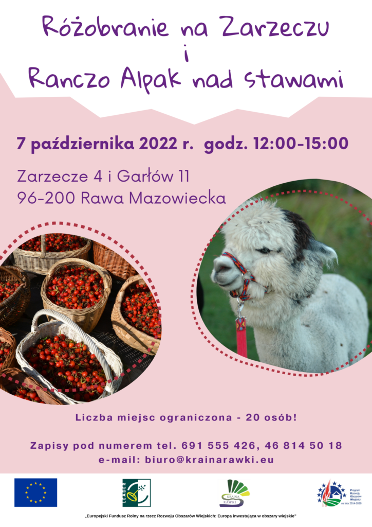 Niebiesko żółty zabawny plakat półkolonie dla dzieci (3)